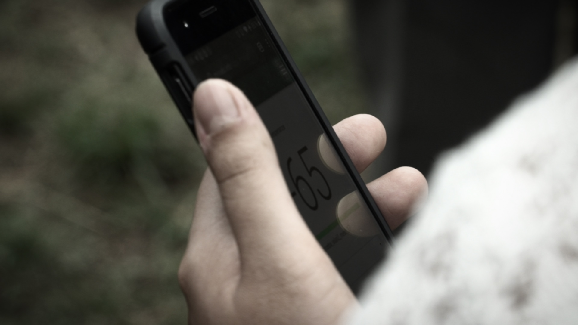 LimeApp in use — photo 1